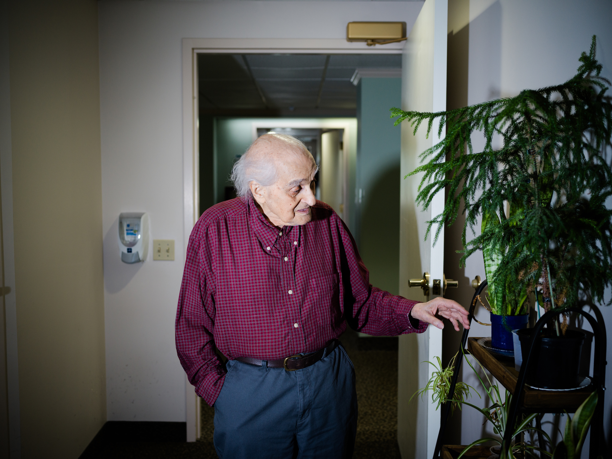 An old man in a red button-down shirt looks lovingly at and reaches his hand toward a bookshelf with bright green plants.