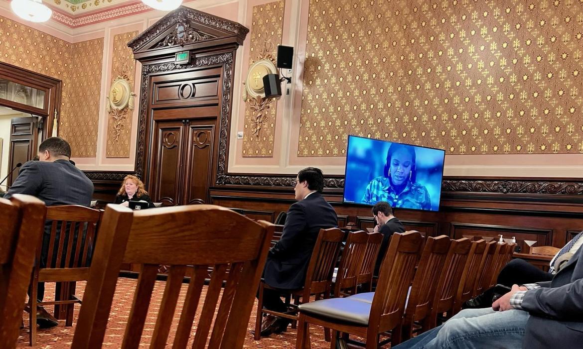 A woman testifies before an Illinois Senate committee about a bill that would limit the use of alcohol and drug monitoring. The woman is on a screen in the middle of a wood-paneled room with a half-dozen people sitting in wooden chairs.
